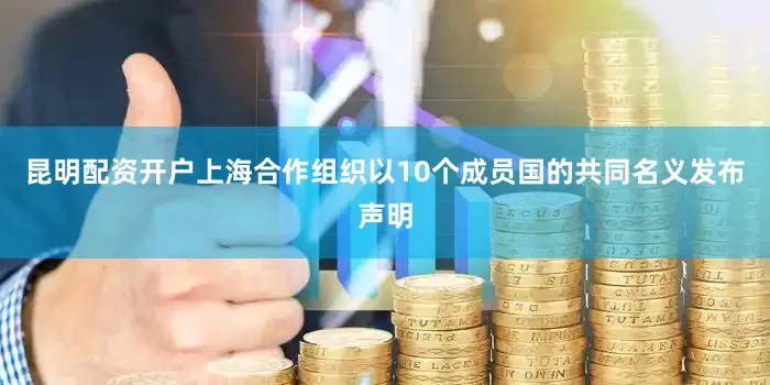 昆明配资开户上海合作组织以10个成员国的共同名义发布声明