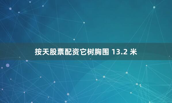 按天股票配资它树胸围 13.2 米