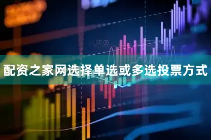配资之家网选择单选或多选投票方式