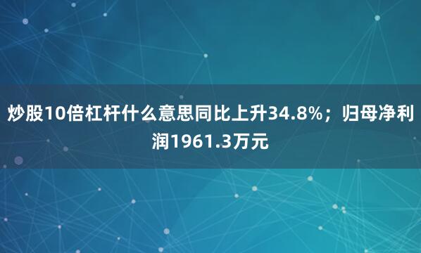 炒股10倍杠杆什么意思同比上升34.8%;归母净利润1961.3万元