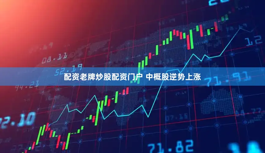 配资老牌炒股配资门户 　　中概股逆势上涨